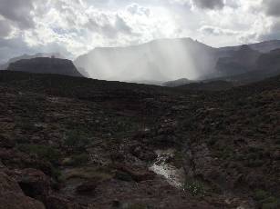 wG8  rain on the Clear Creek Trail - photo by India Hesse.jpg (223511 bytes)